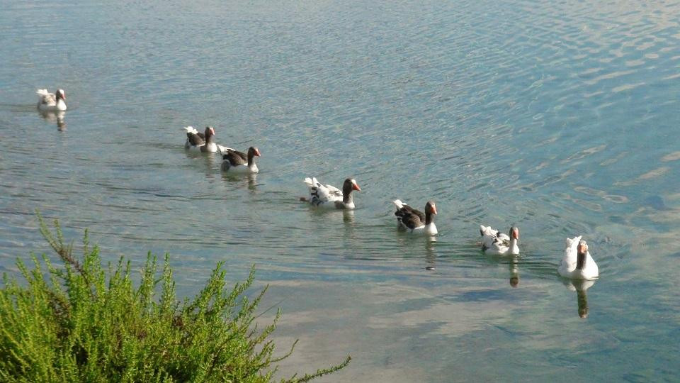 Fazenda Pratinha-Iraquara必去景点