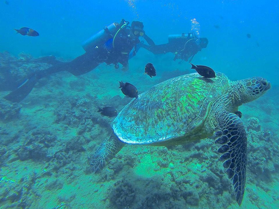 凯马纳潜水-火奴鲁鲁必去景点