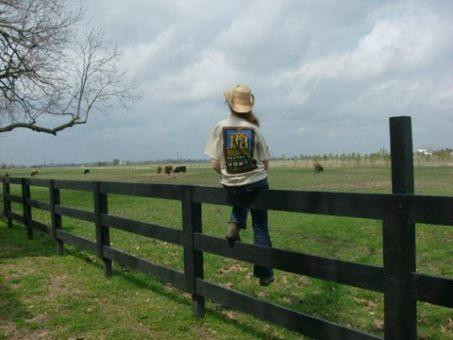 Prairie Wind Farm B&B主图