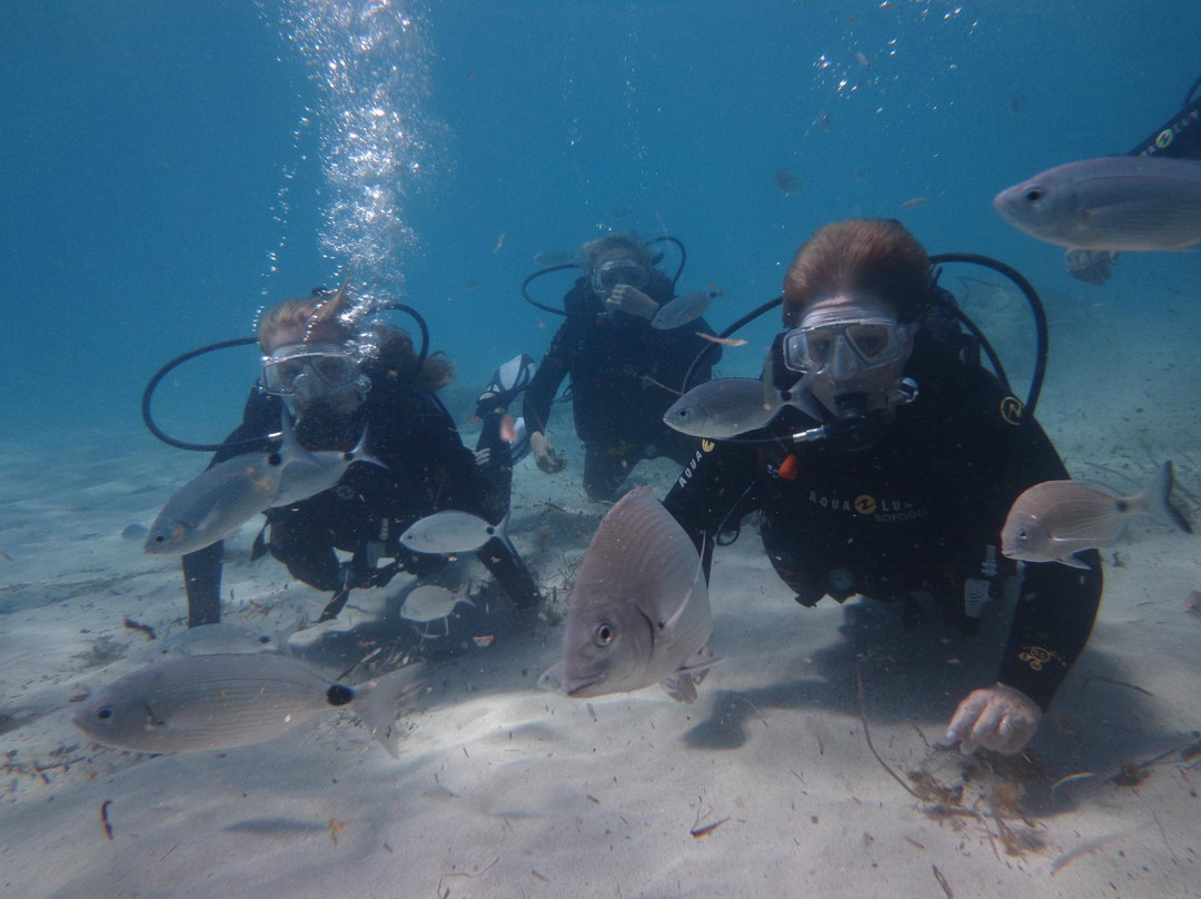 Acqua Life Dive Center-Calas de Majorca必去景点