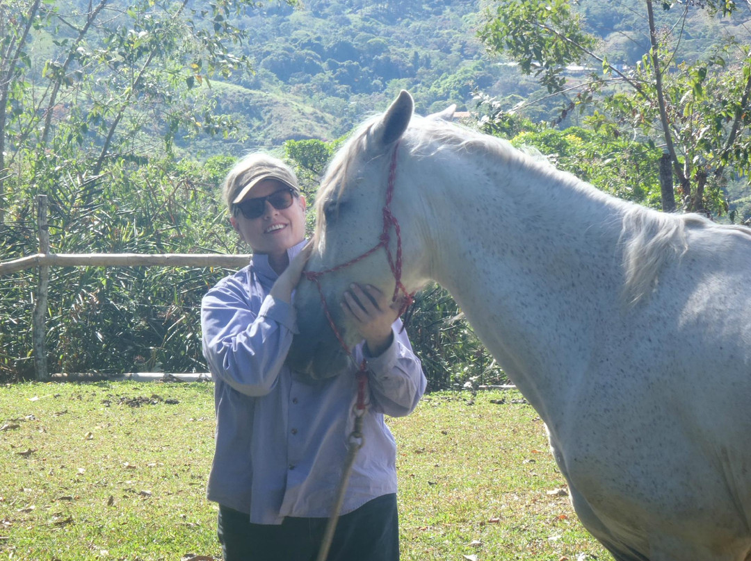 Barking Horse Farm景点图片
