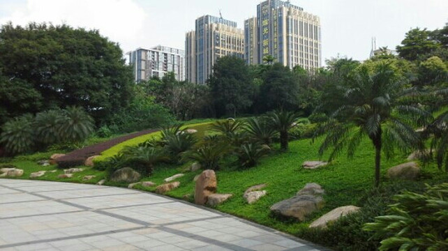 广州珠江公园-广州市必去景点