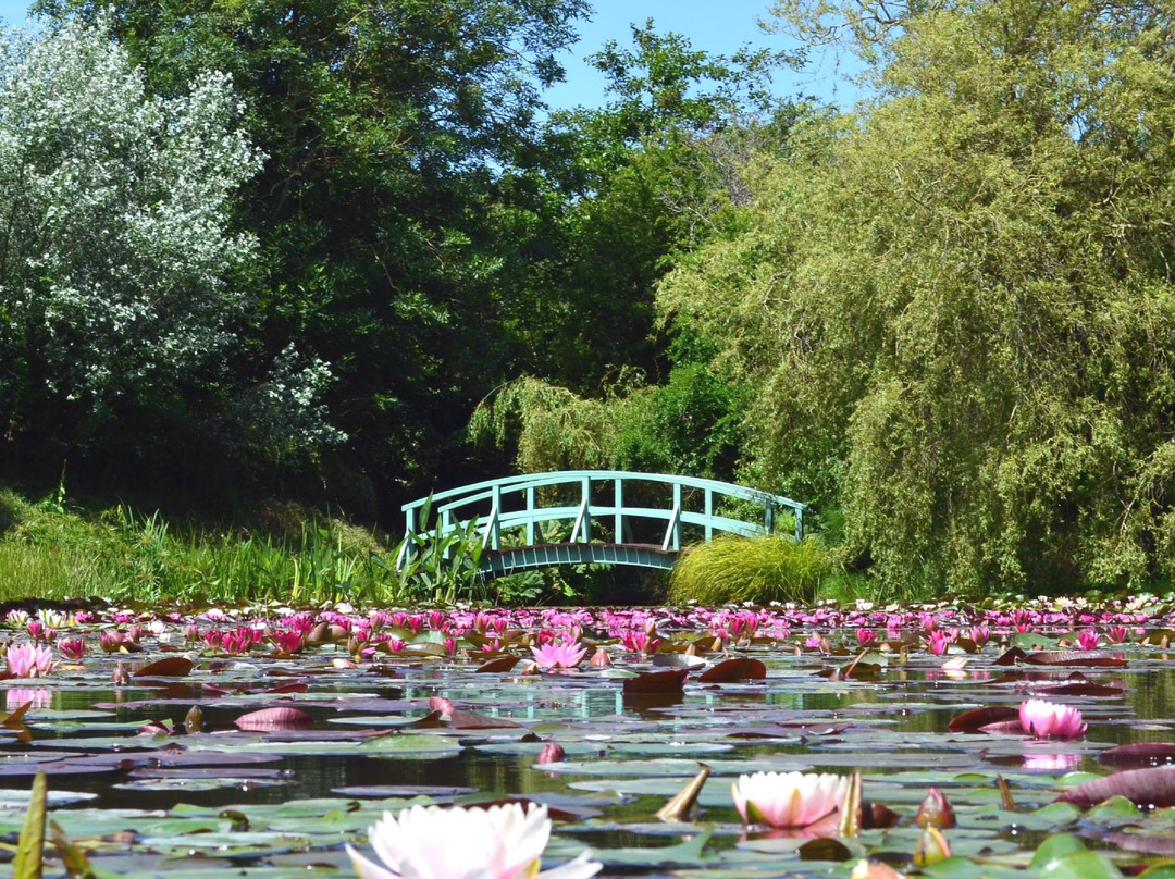 Bennetts Water Gardens景点图片
