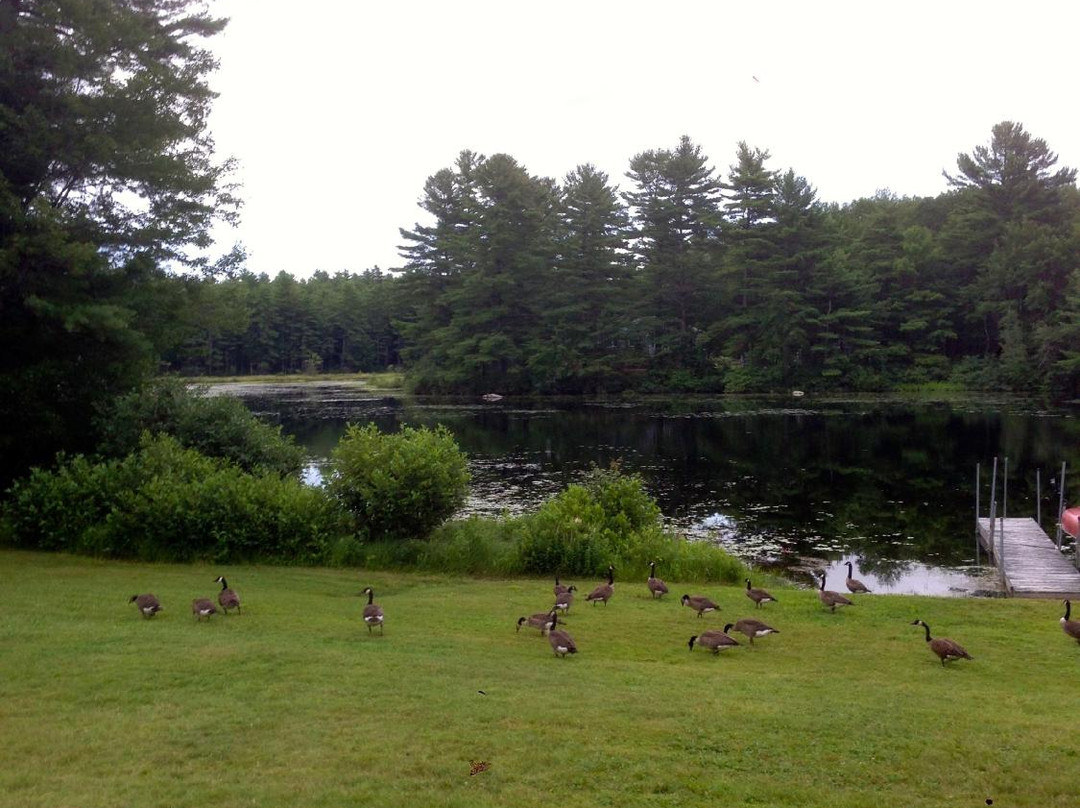 Alyssa's Motel on Thomas Pond主图