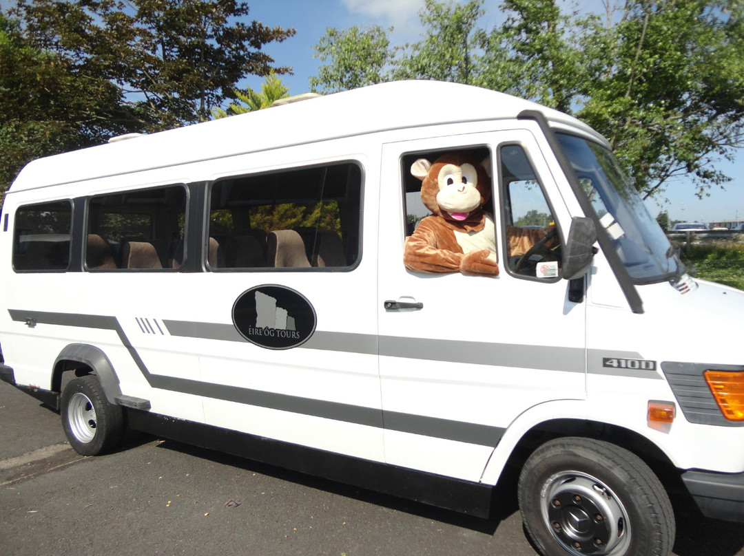 Eire Og Tours - Day Tours-恩尼斯必去景点