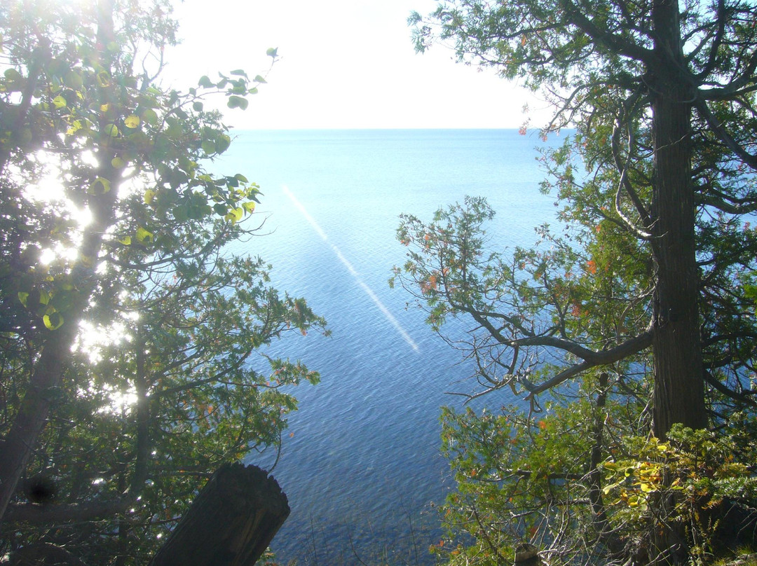 The Clearing-Ellison Bay必去景点
