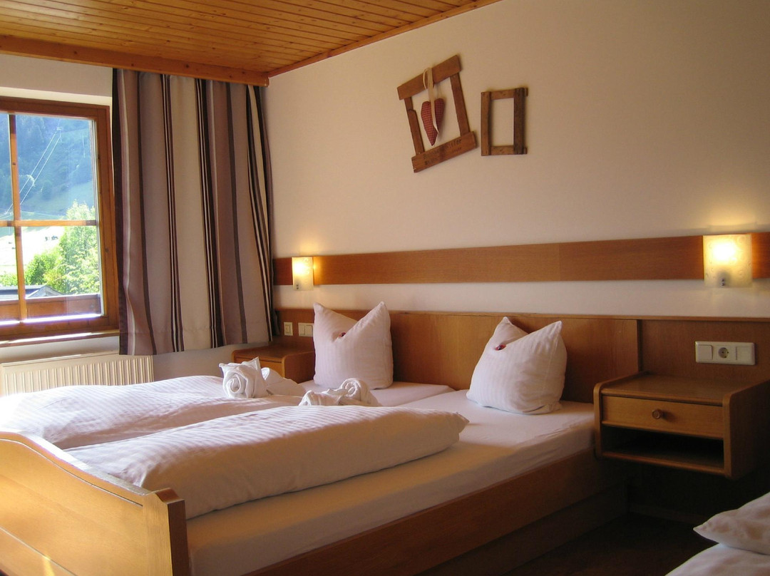 Seidlwinkl酒店住宿-Hotel Gasthof Salzburgerhof