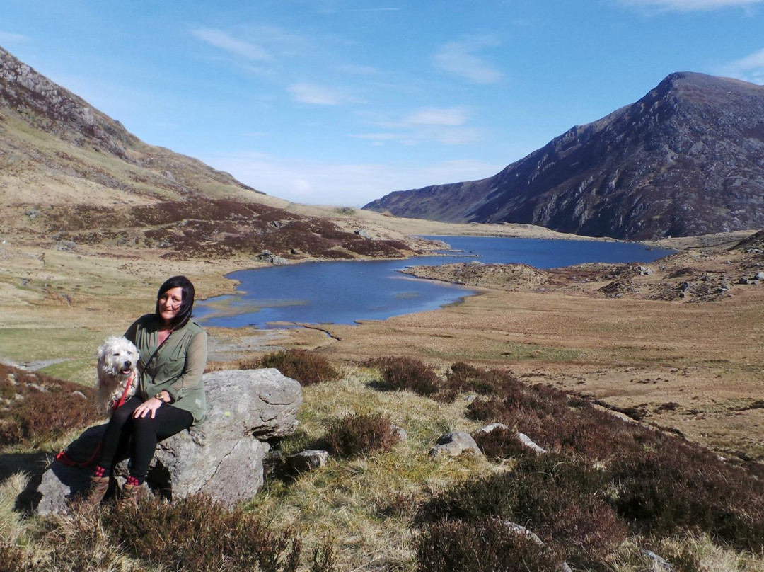 Y Garn-雪墩国家公园必去景点