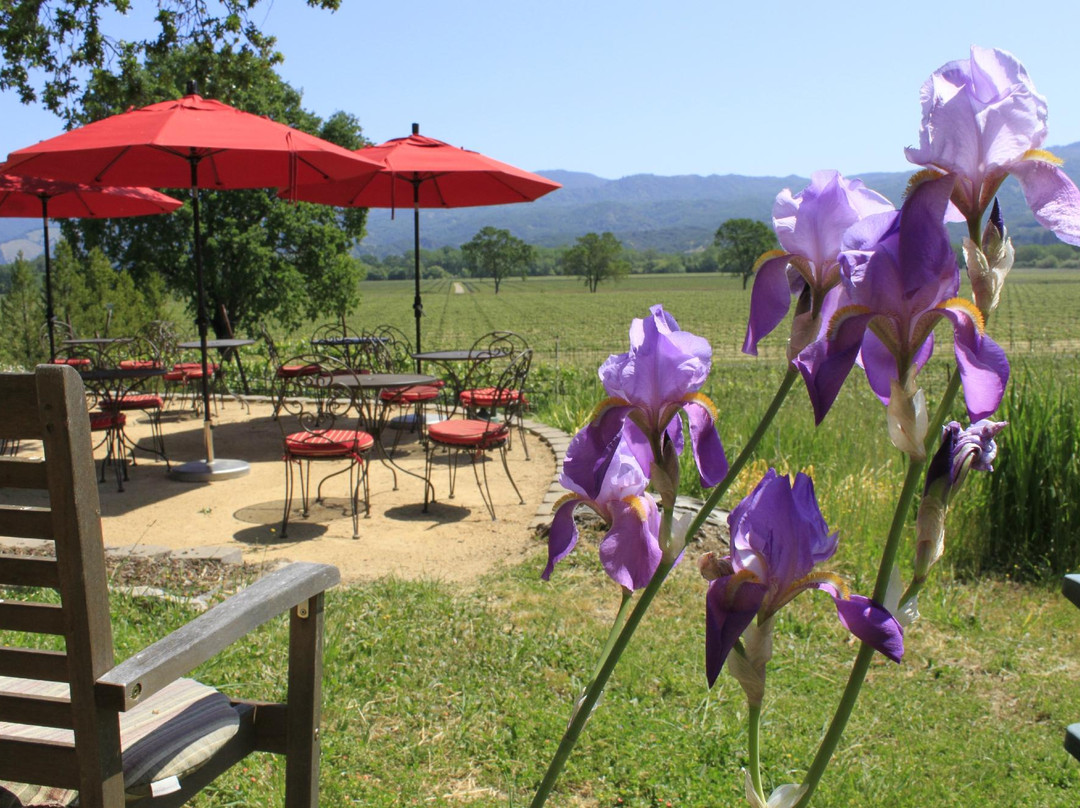 Rivino Winery景点图片