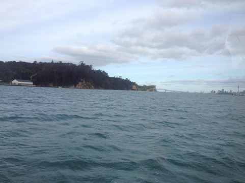 Riverhead Ferry-奥克兰必去景点