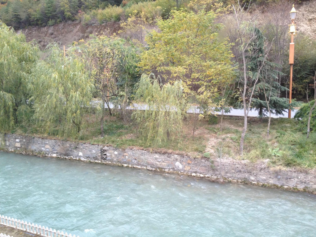 九寨沟仙池大酒店主图