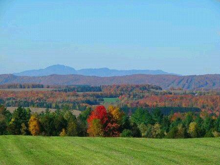 Domaine Ives Hill-Compton必去景点