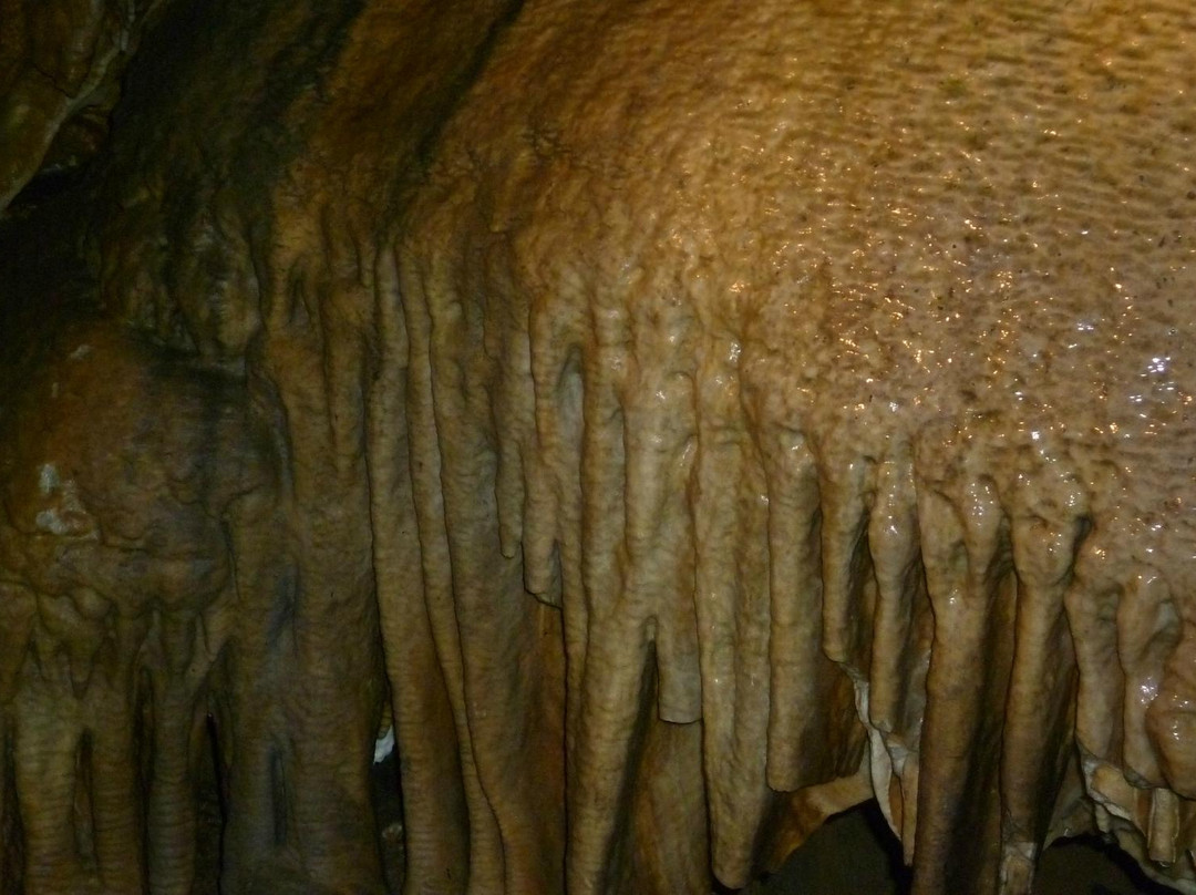 Grotte De Dinant La Merveilleuse景点图片