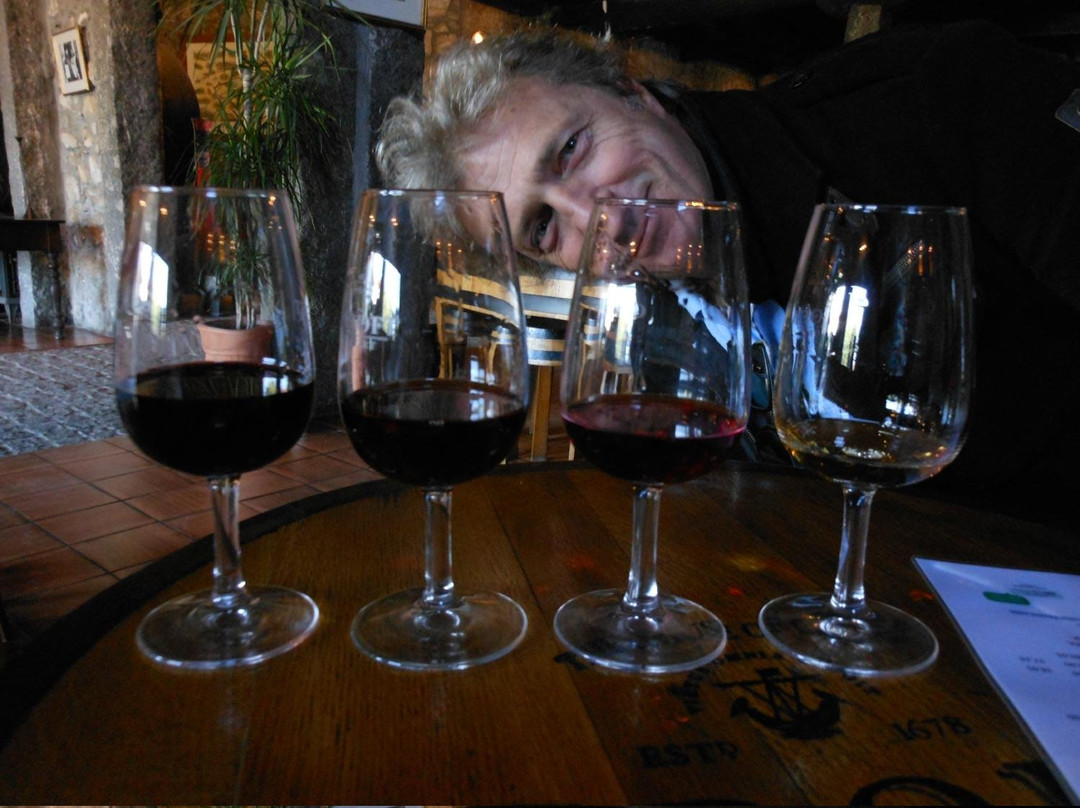 Dubrovnik Wine Tours景点图片