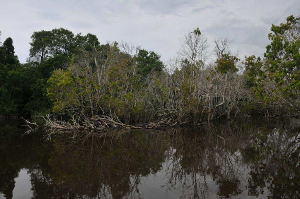 Tahai Lake-帕朗卡拉亚必去景点