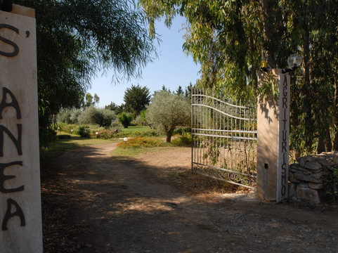 Agriturismo S'Anea主图