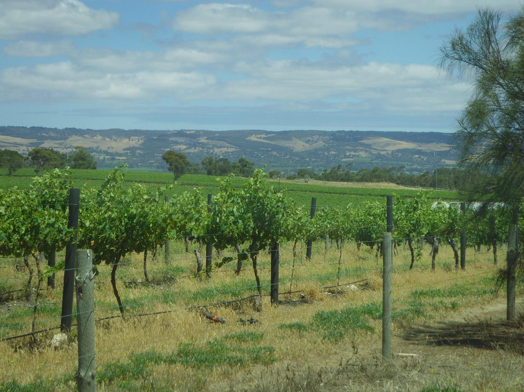 Bums On Seats Day Tours-阿德莱德必去景点
