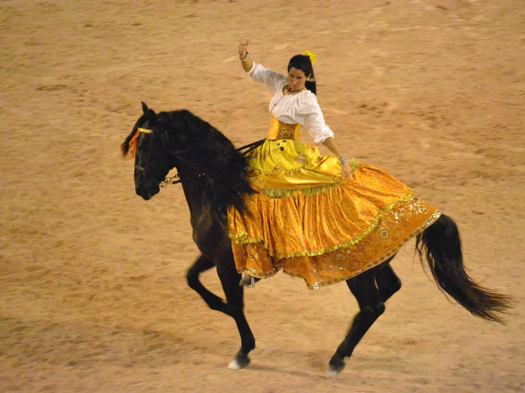 La Provence de Claire Tours-阿维尼翁必去景点