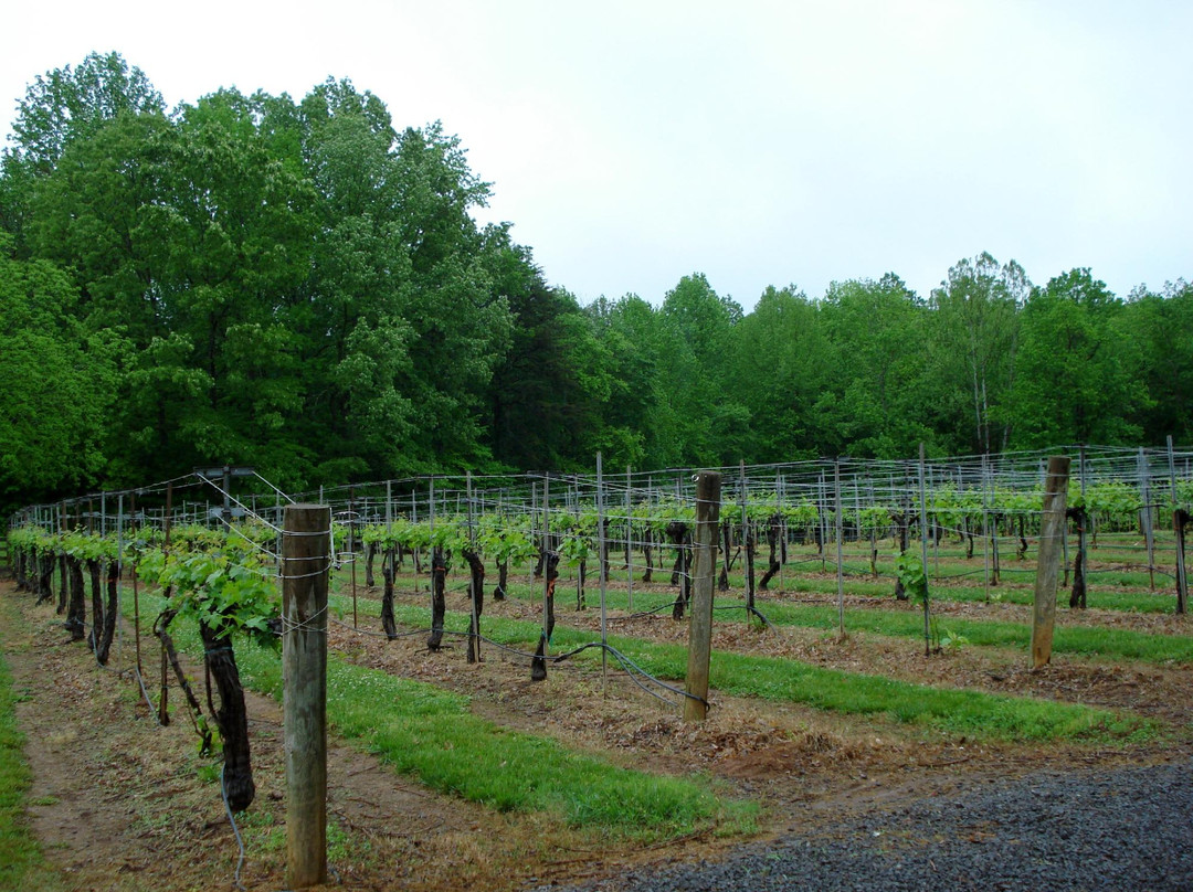 West Bend Vineyards-Lewisville必去景点