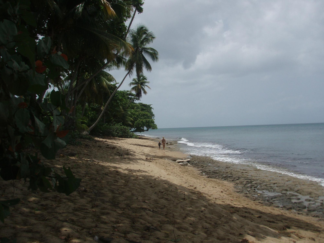 Tres Palmas Marine Reserve-吕康必去景点