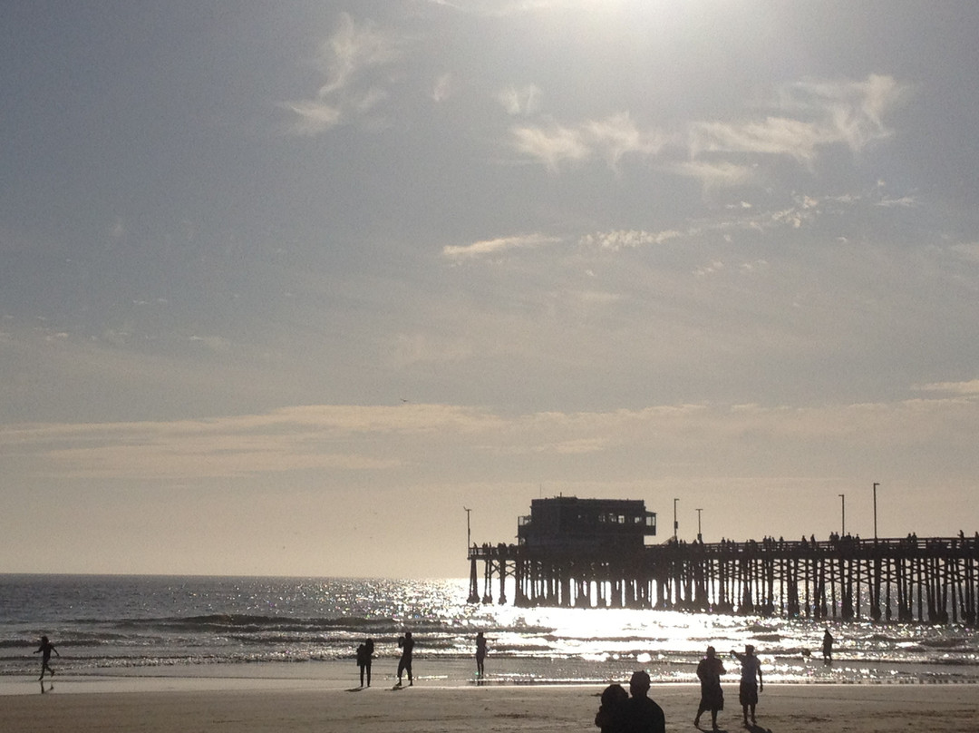 纽波特海滩-纽波特海滩必去景点