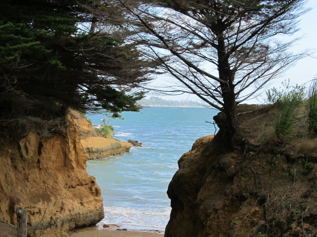 Mansion House-Kawau Island必去景点