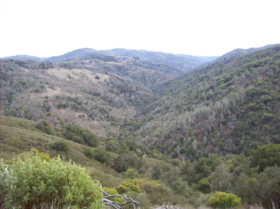 Henry W. Coe State Park-摩根希尔必去景点