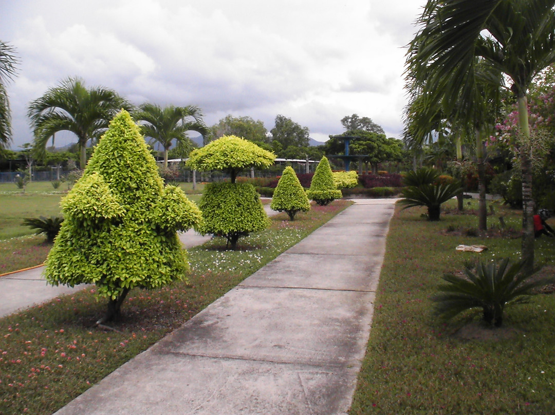 斗亚兰鳄鱼养殖场-斗亚兰必去景点