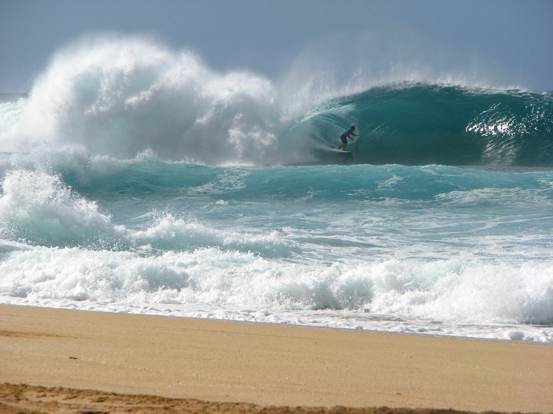 Aloha Private Tours-火奴鲁鲁必去景点