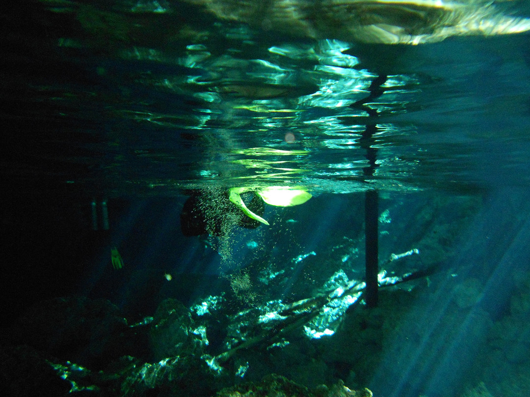 Dos Ojos Scuba Dive Shop-艾库玛尔必去景点