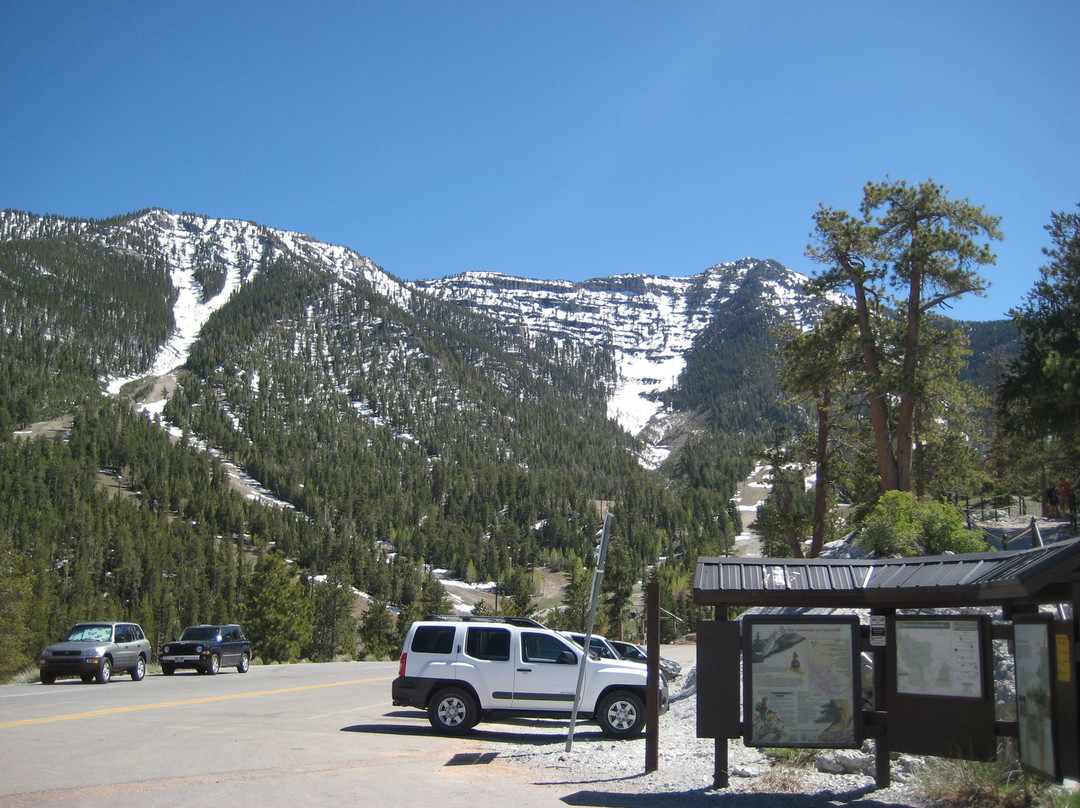 Mt. Charleston Scenic Byway-Mount Charleston必去景点