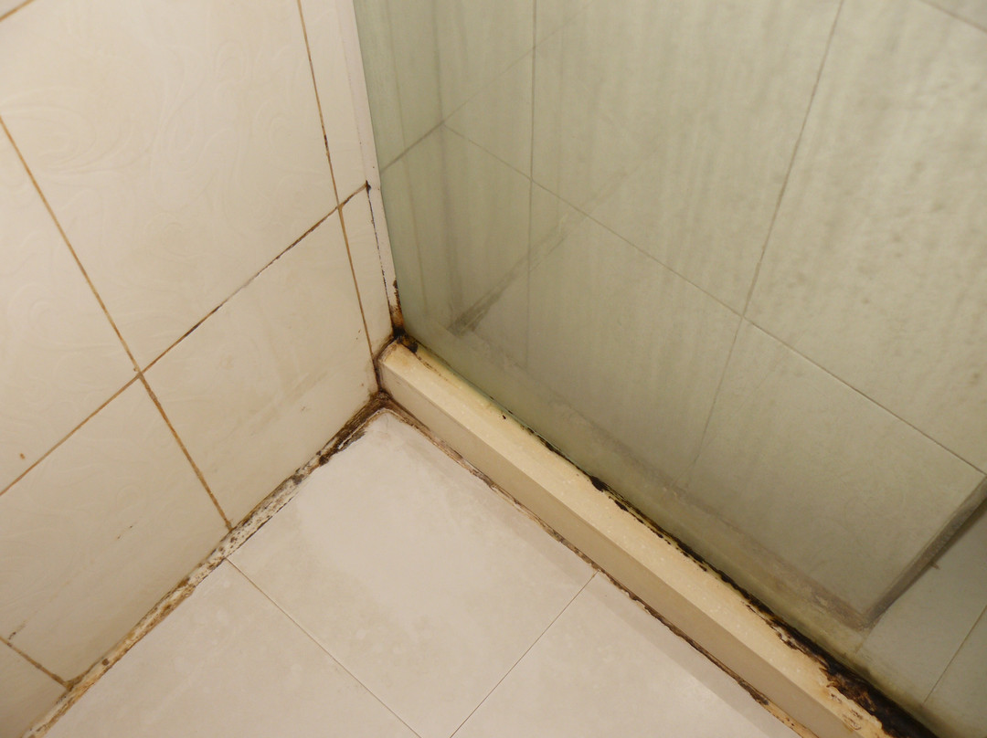 凯里一家酒店连锁大十字店主图