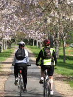 Murray to Mountains Rail Trail-Wangaratta必去景点