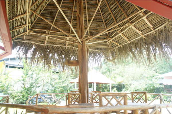 Hostel Orchid