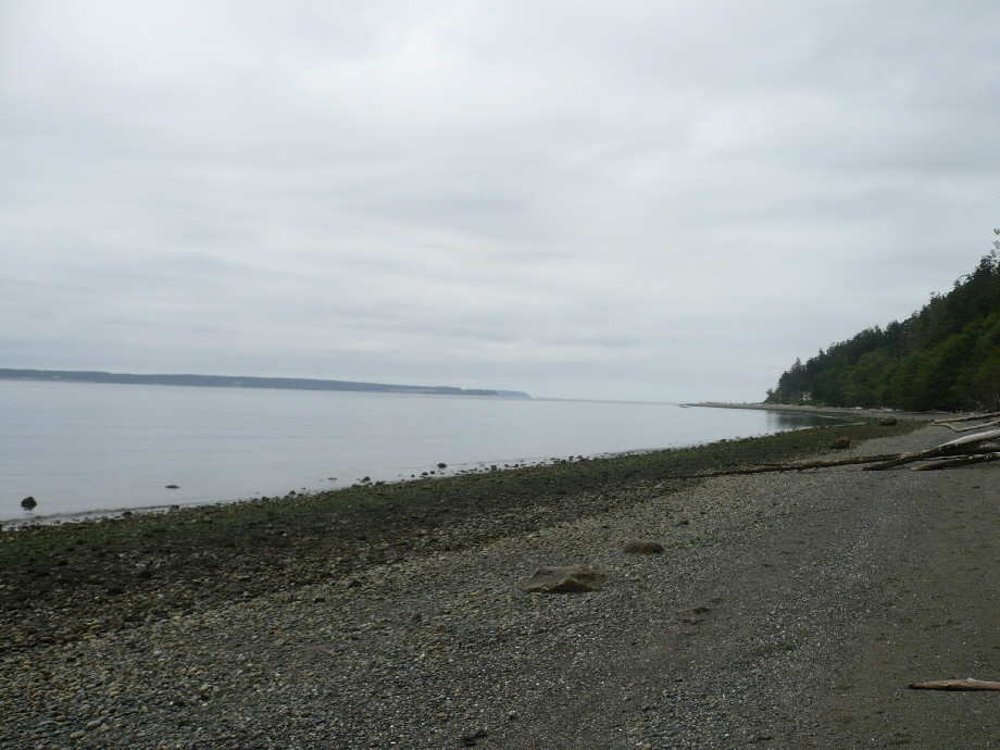 South Whidbey Island State Park景点图片