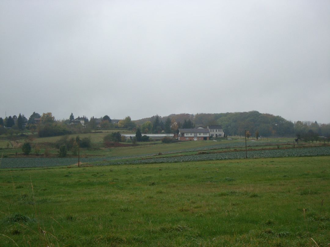 Hotel Koln-Bonn主图