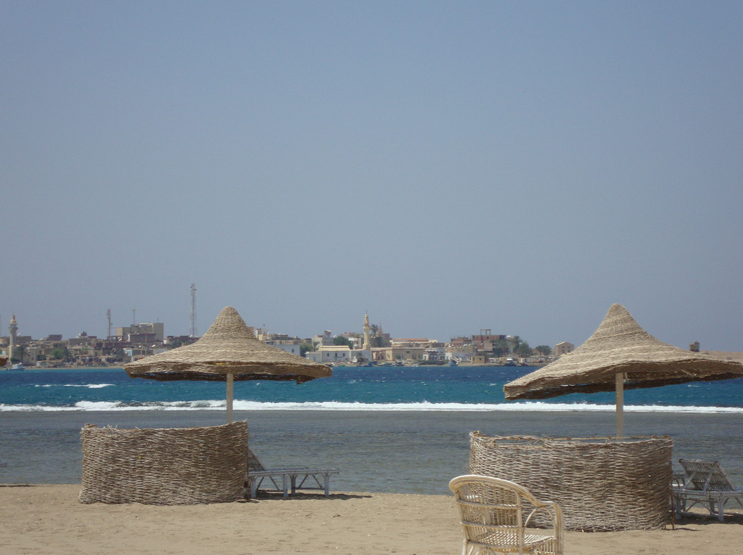 Pharaoh Dive Club-艾尔可西利亚必去景点