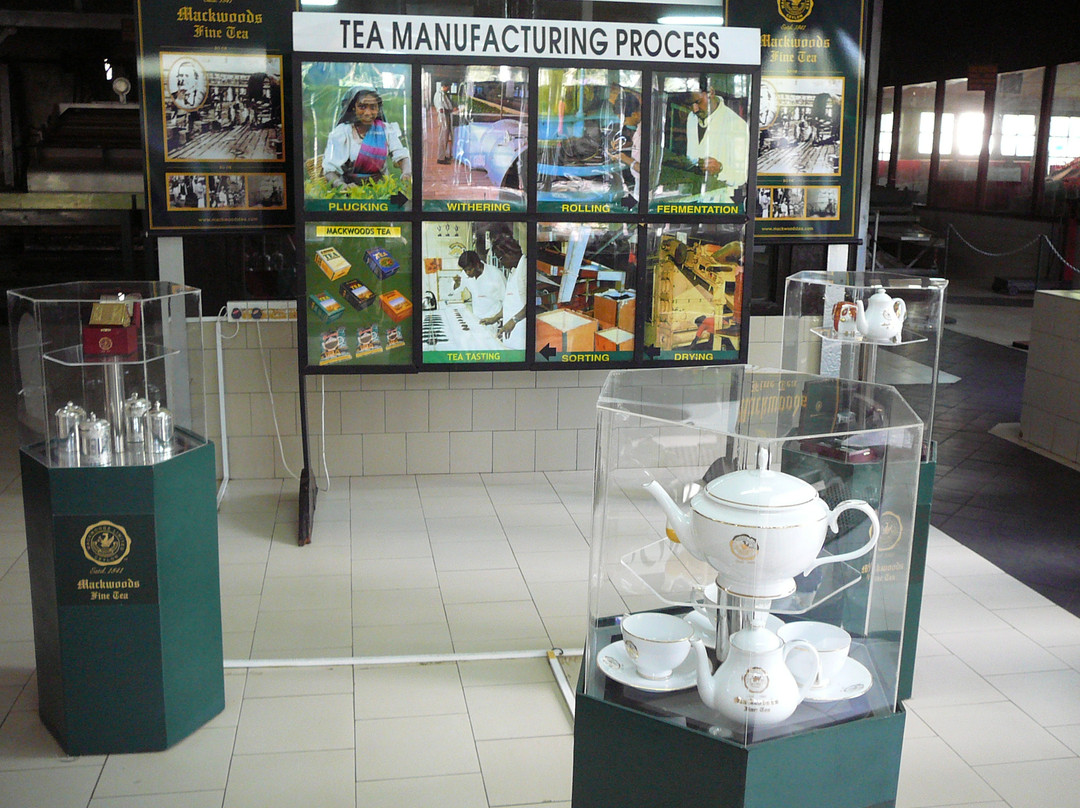 麦克伍兹茶工场-奴娃拉伊利雅必去景点