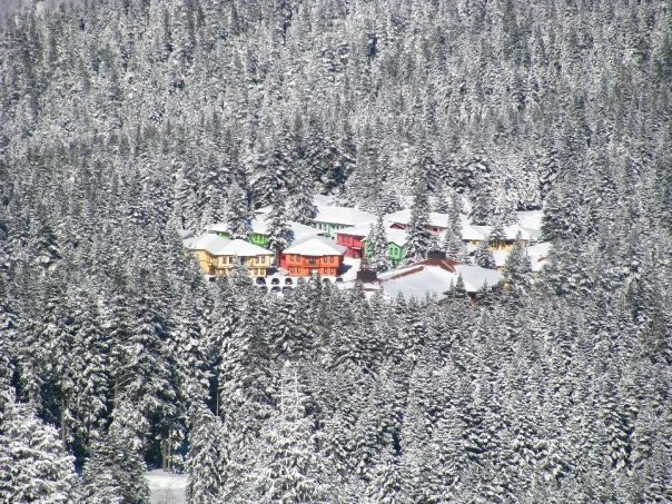 Ilgaz Mountain National Park景点图片