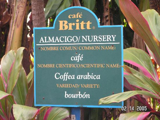 Britt Coffee Tour景点图片