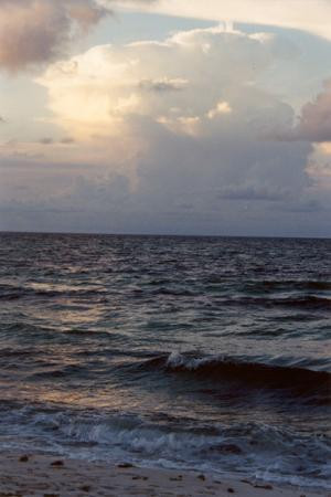 Santa Rosa Island景点图片