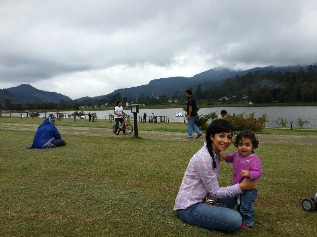 格雷戈里湖-奴娃拉伊利雅必去景点