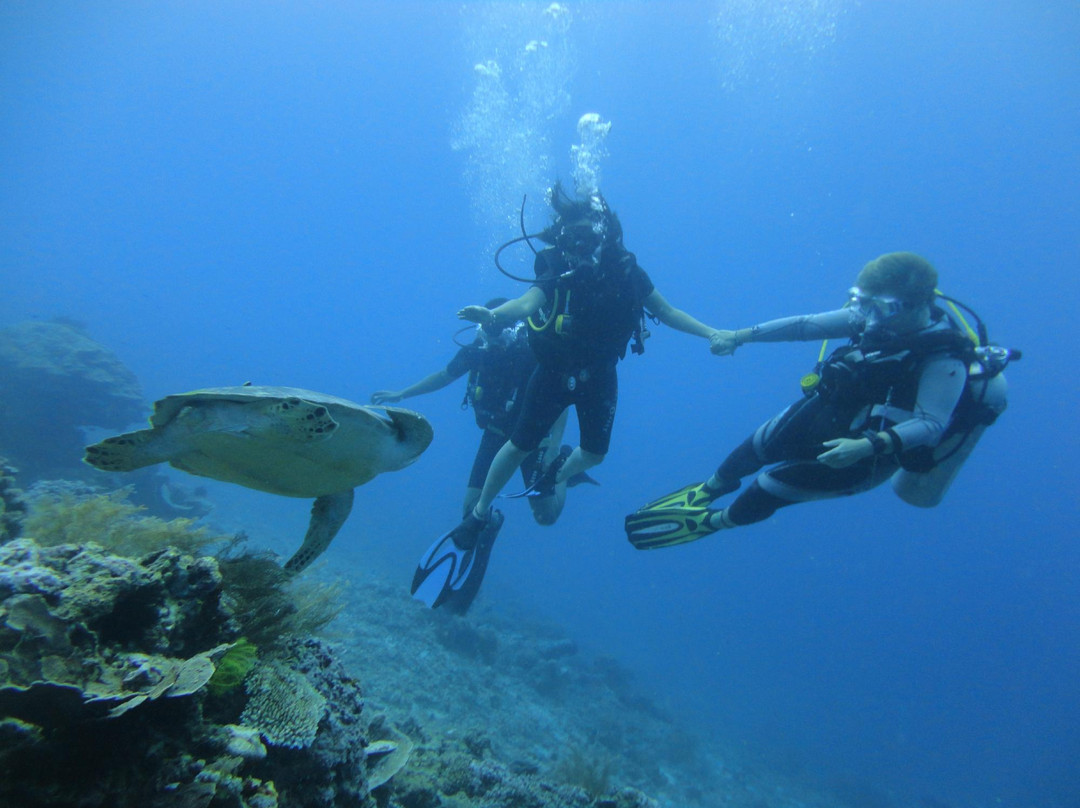 DSM Dive - Gili Trawangan景点图片