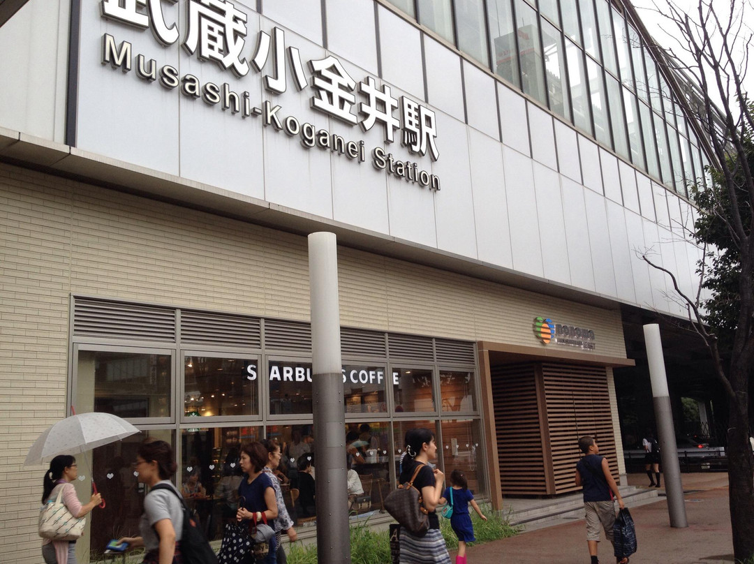 スターバックスコーヒー Nonowa武蔵小金井店