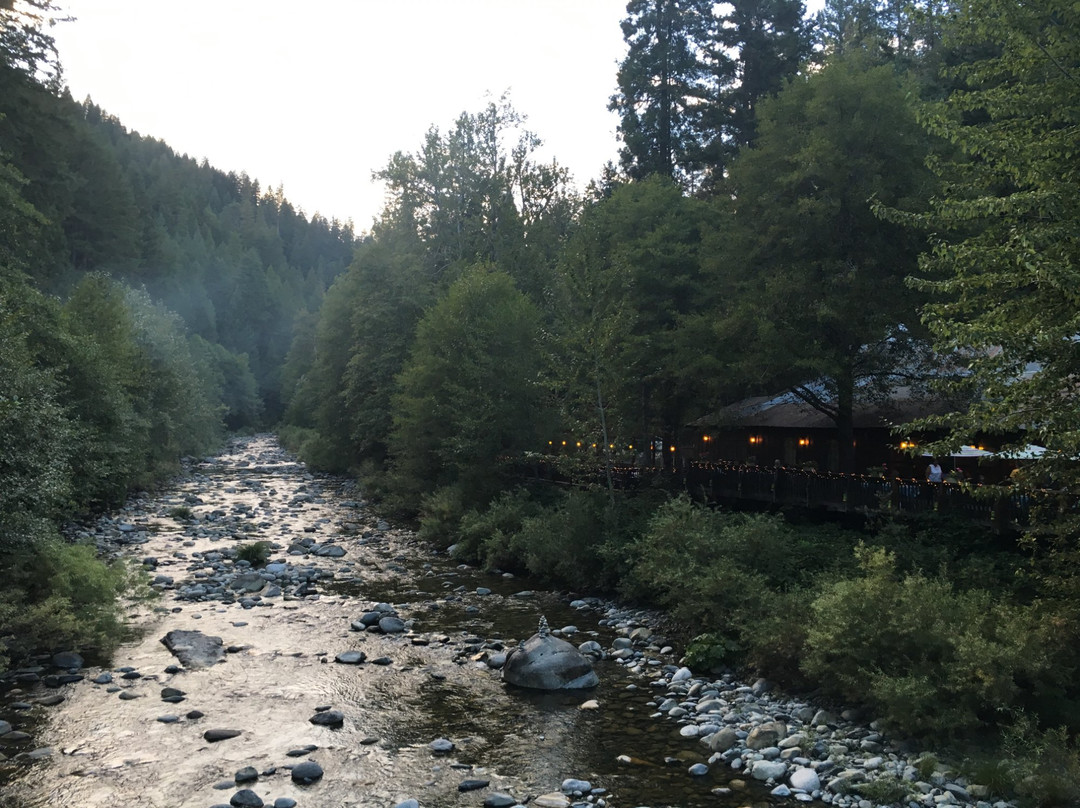 Junction City餐馆和美食-Bear's Breath