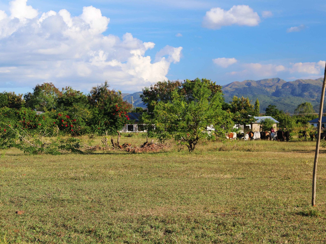 Afrika Yangu Camp And Lodge
