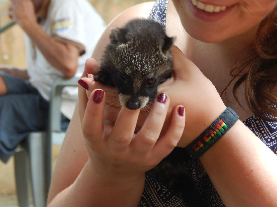 Monkey Forest Resort-Cape Coast必去景点