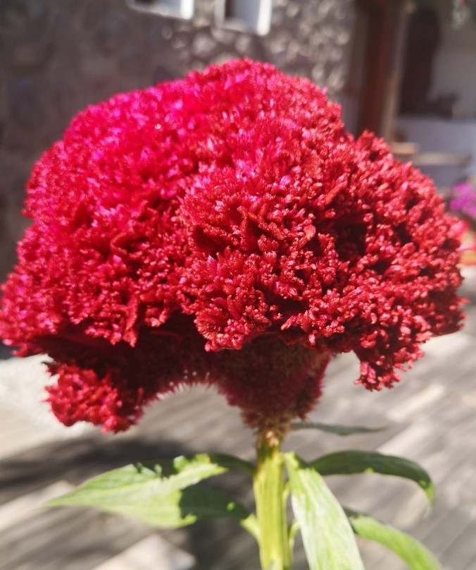 Rincon Sagrado Hotel Boutique & Spa主图