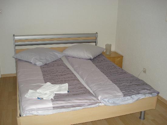 Swiss BnB-客卧