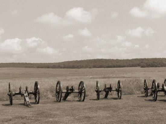 Pea Ridge旅游攻略图片